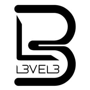 LEVEL 3